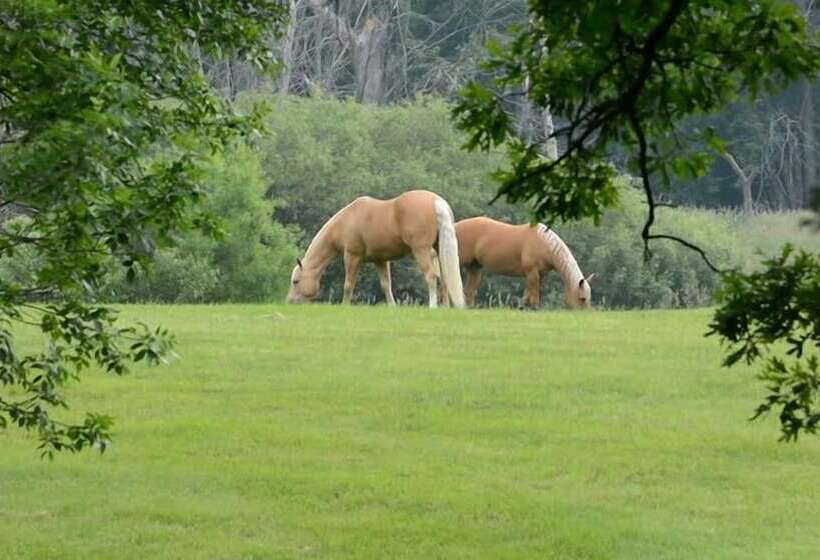 Ghumtee Riviera Resort