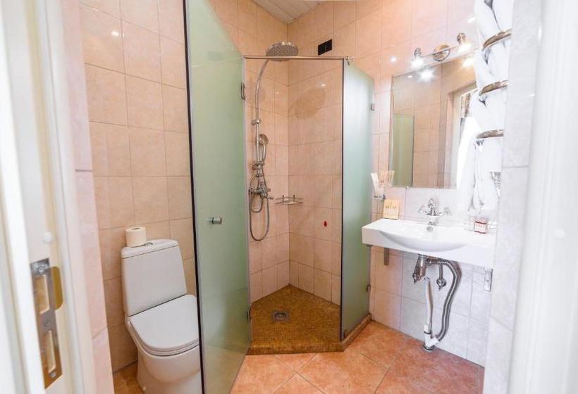 בית מלון כפרי Tchaikovsky House