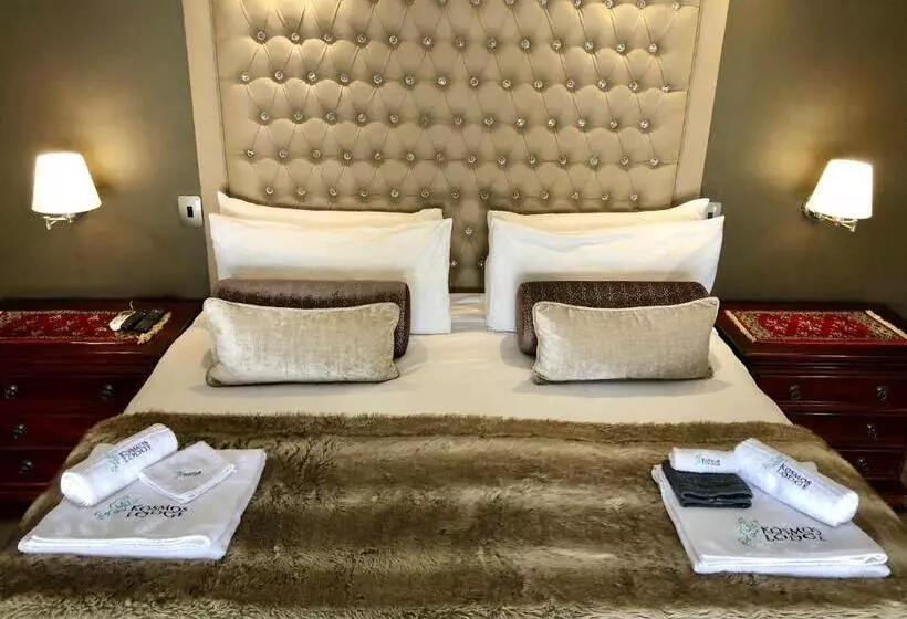 پانسیون Kosmos Lodge
