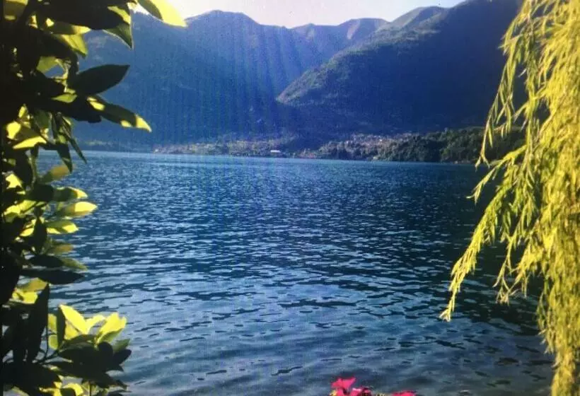 B&b Nest On The Lake