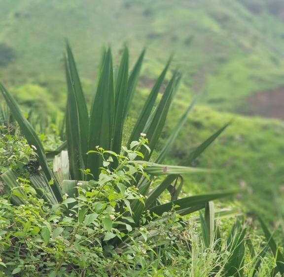 B&b Villa Alegria, Tarrafal