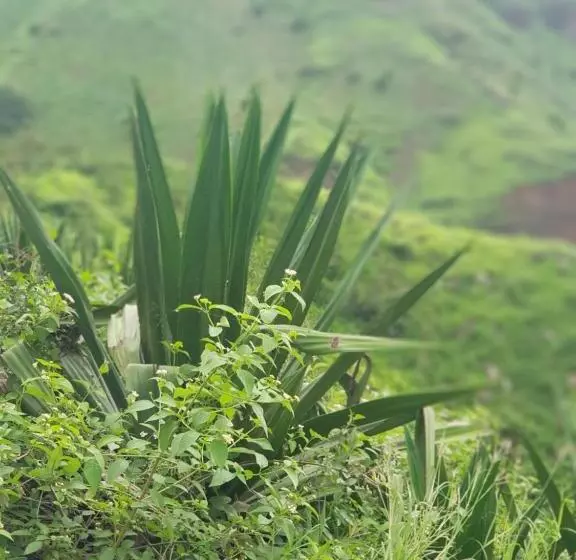 B&b Villa Alegria, Tarrafal