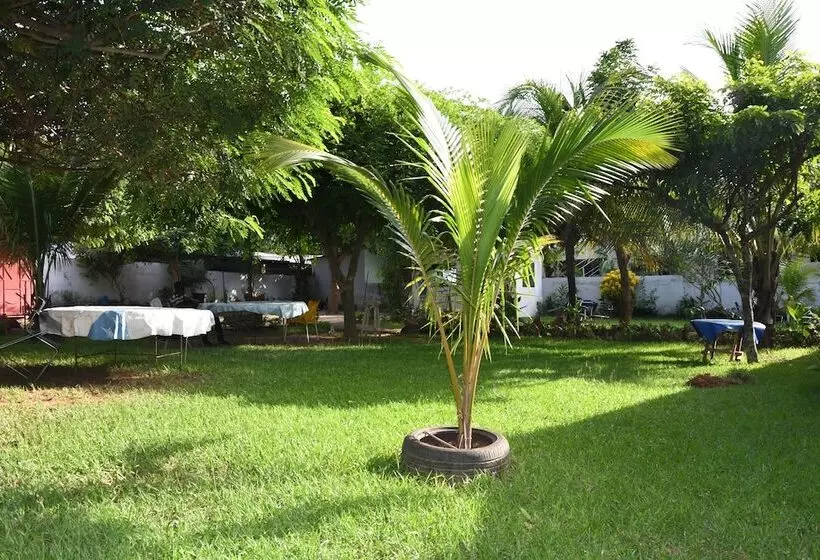 ホテル Bb Tributary