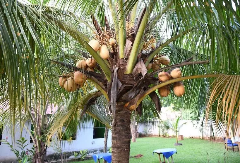 ホテル Bb Tributary