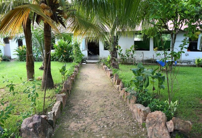 ホテル Bb Tributary