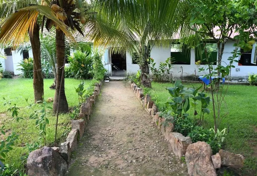 ホテル Bb Tributary