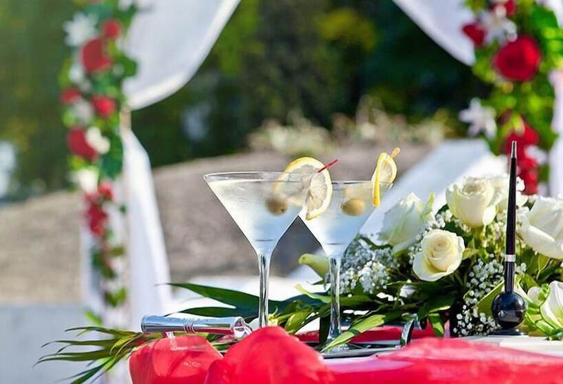 בית מלון כפרי Korona