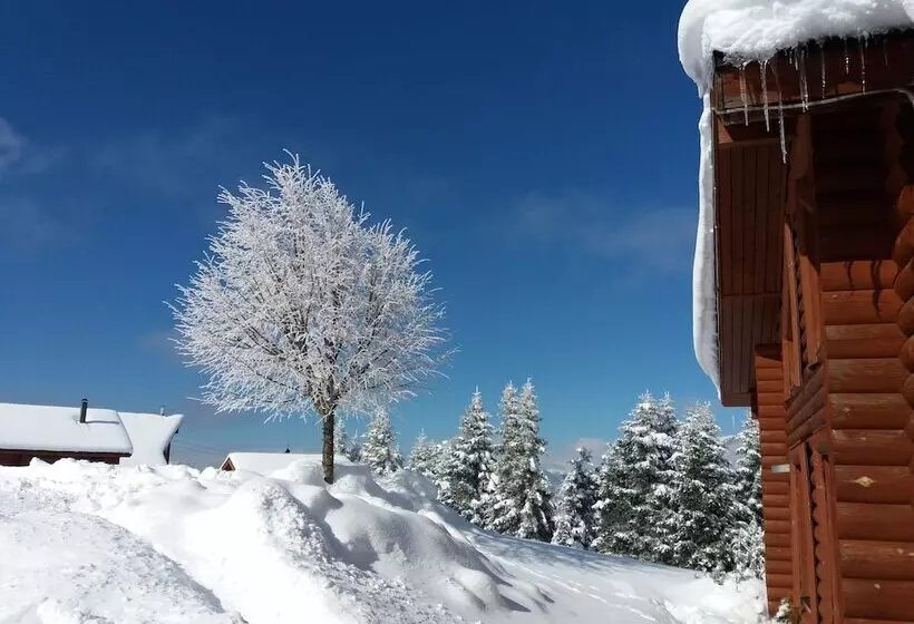 Kedros Village