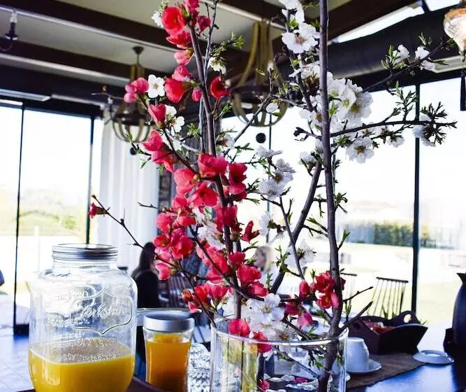 Vintage Suites Trikala