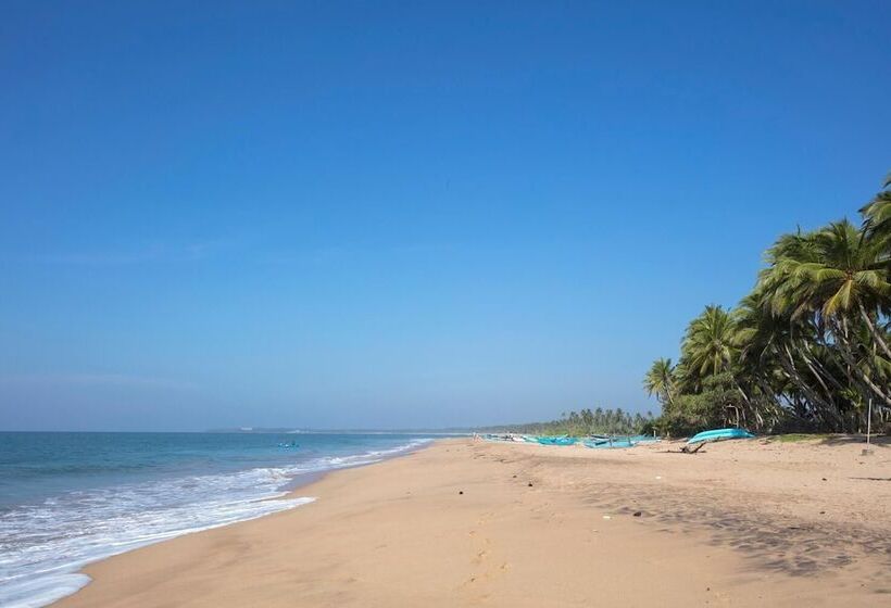 酒店 Serendivi Resort Villa