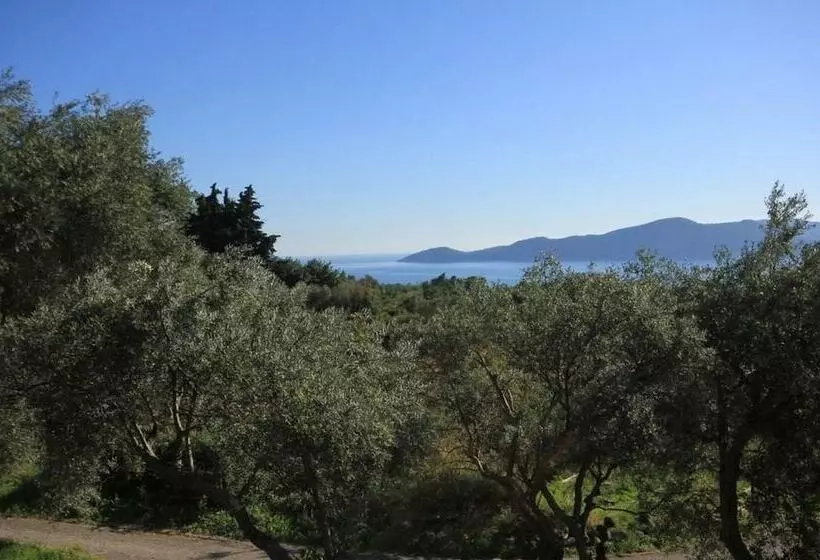 پانسیون Villa Ro Ela