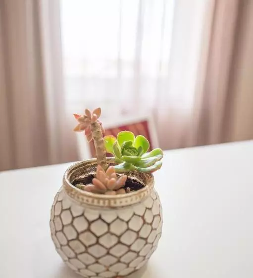 Hotelli Horta Garden