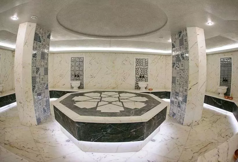 ホテル Hot Springs Medical And Spa