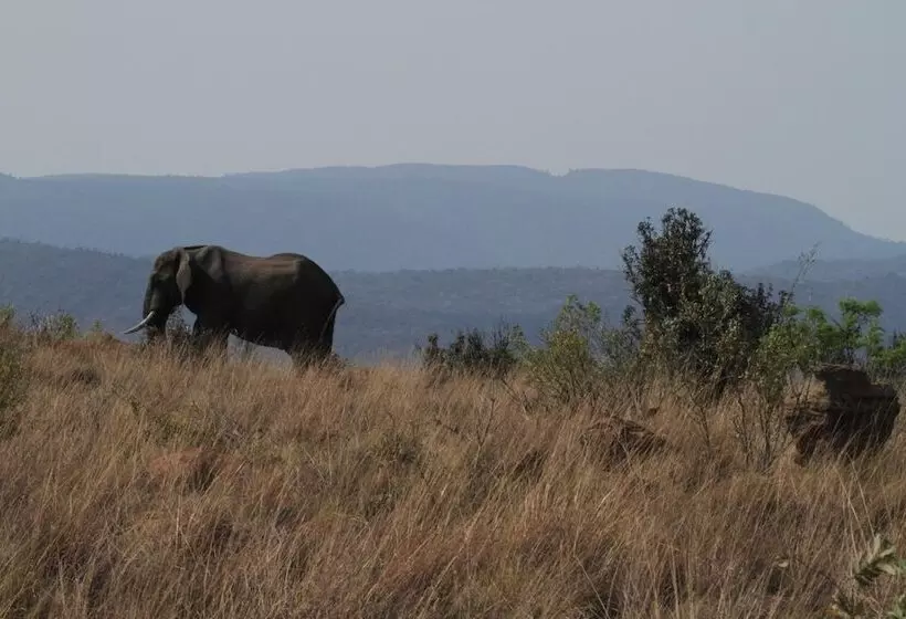 Hotelli Inzalo Safari Lodge