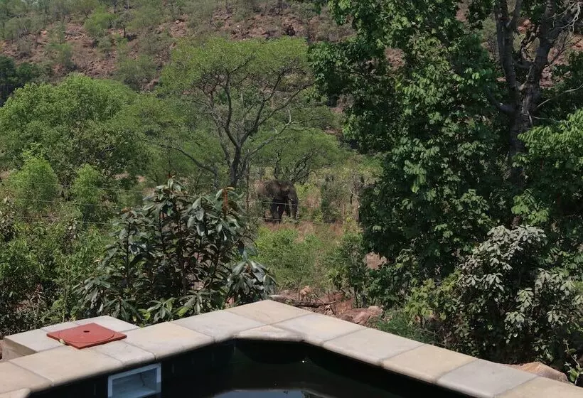 Hotelli Inzalo Safari Lodge