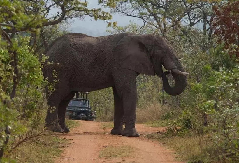 Hotelli Inzalo Safari Lodge