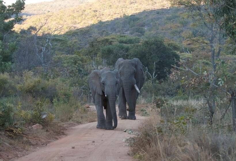 בית מלון כפרי Inzalo Safari Lodge