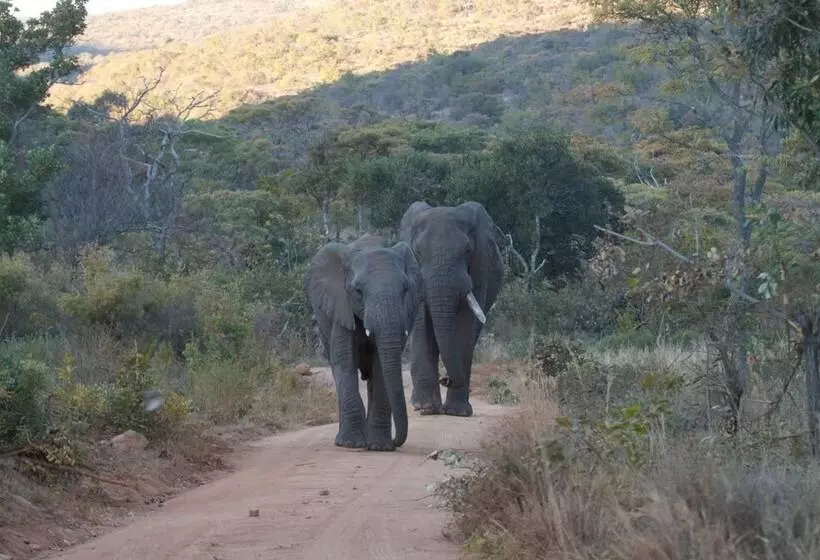 Hotelli Inzalo Safari Lodge