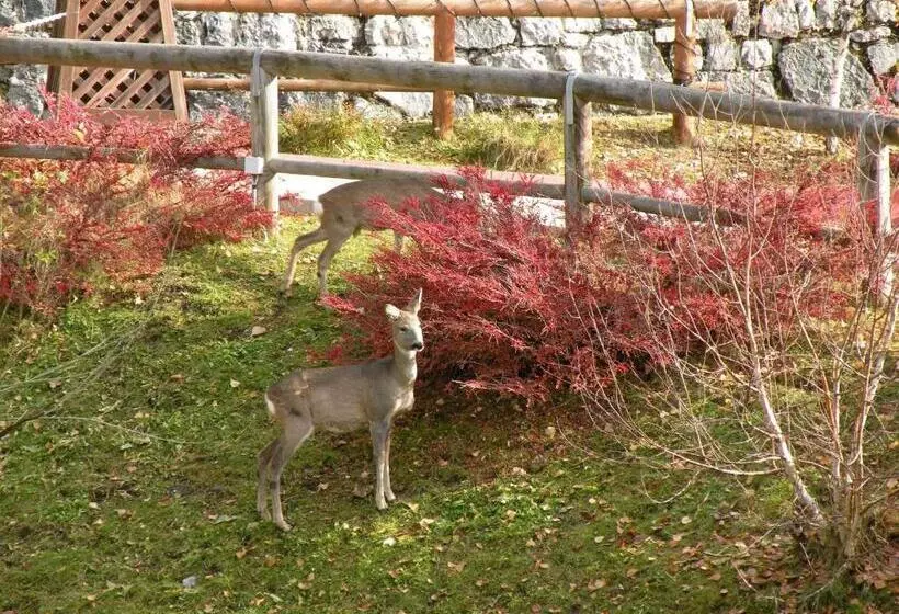 ホテル Garni Civetta