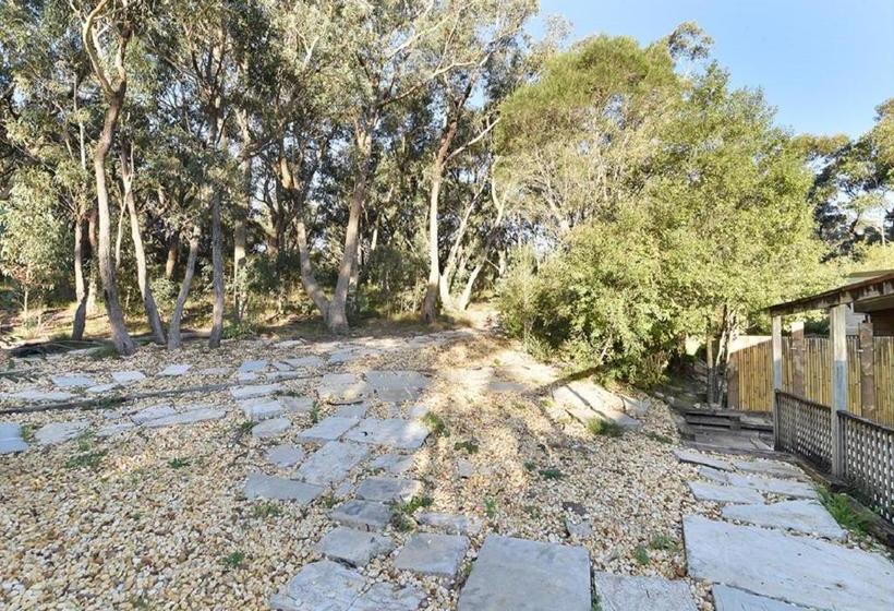 Hotel Sinofield Eduretreat