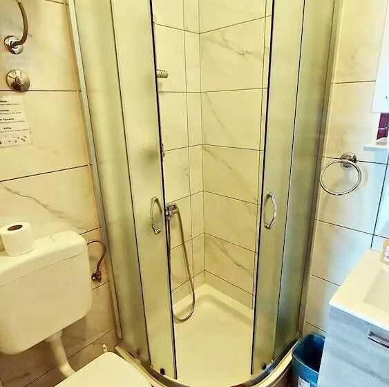 ペンション Apartments And Rooms Vila Irma