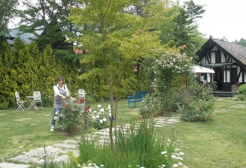 ペンション Petit Hotel & Restaurant Old Age