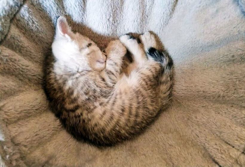 Отель Habitat Quadrangle North Luogu Flagship