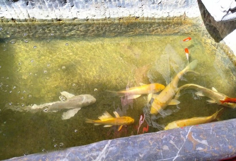 Отель Habitat Quadrangle North Luogu Flagship