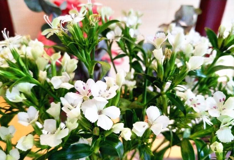 Отель Habitat Quadrangle North Luogu Flagship