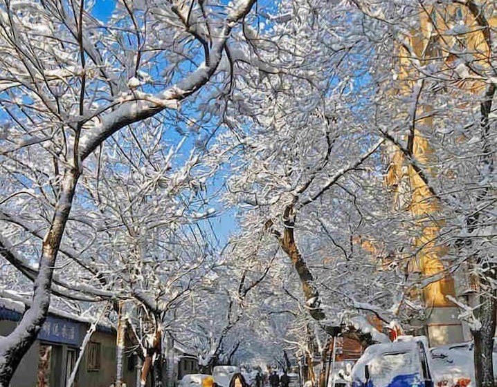 Отель Habitat Quadrangle North Luogu Flagship