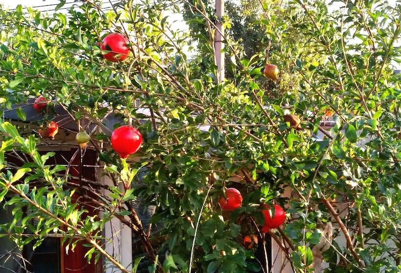 Отель Habitat Quadrangle North Luogu Flagship