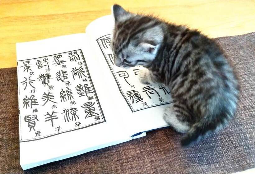 Отель Habitat Quadrangle North Luogu Flagship