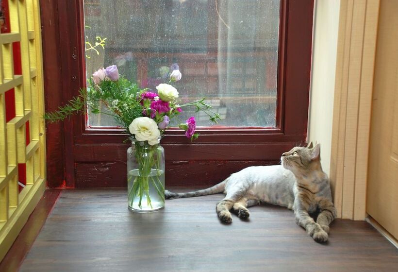 Отель Habitat Quadrangle North Luogu Flagship