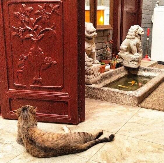 Отель Habitat Quadrangle North Luogu Flagship