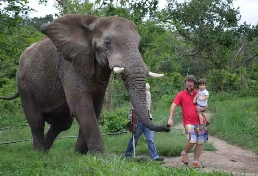 Hotelli Hazyview Buffalo Game Lodge