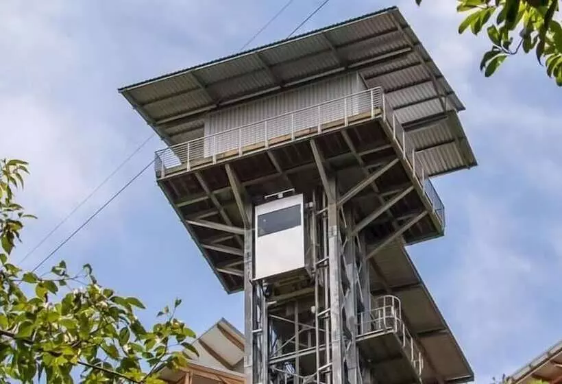 Hotelli Hazyview Buffalo Game Lodge