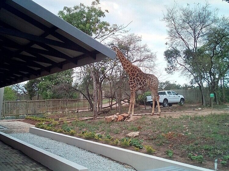 Hotel Hazyview Buffalo Game Lodge