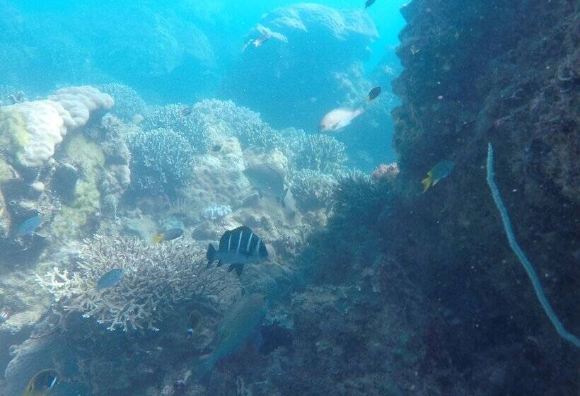 هتل Lodge Des Terres Blanches