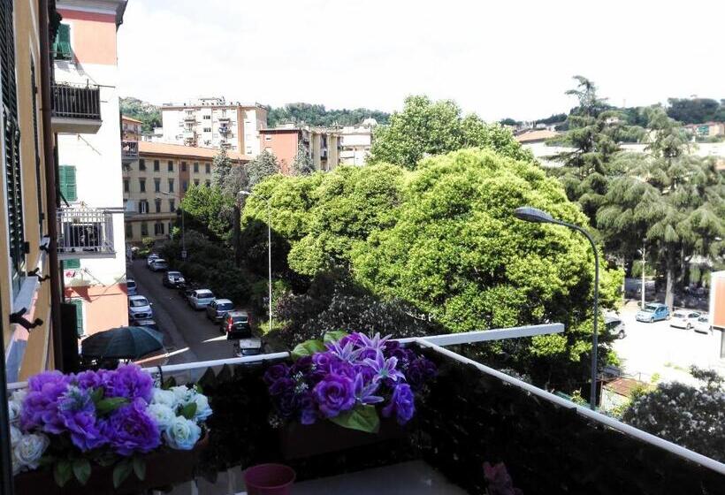 Le Stelle Di Martina Affittacamere