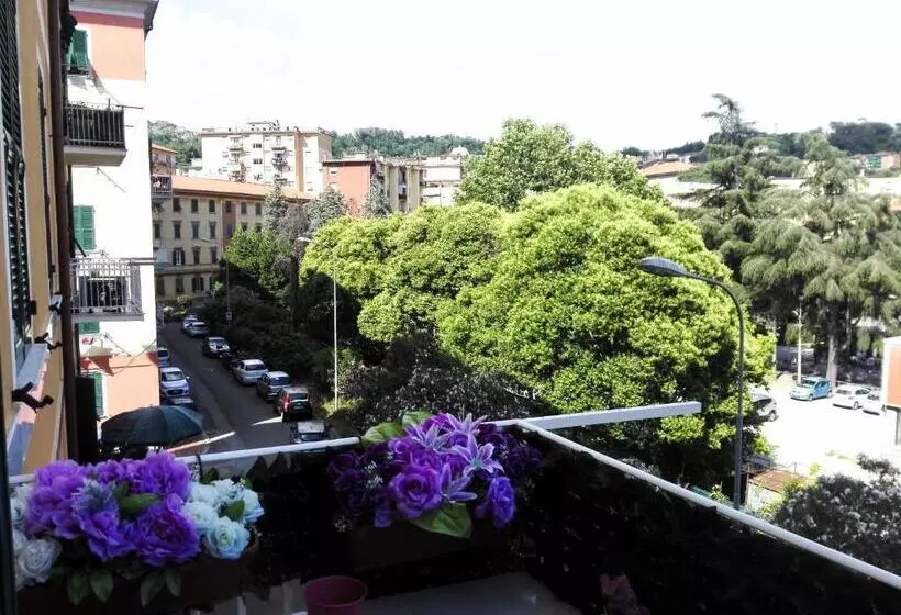 Le Stelle Di Martina Affittacamere