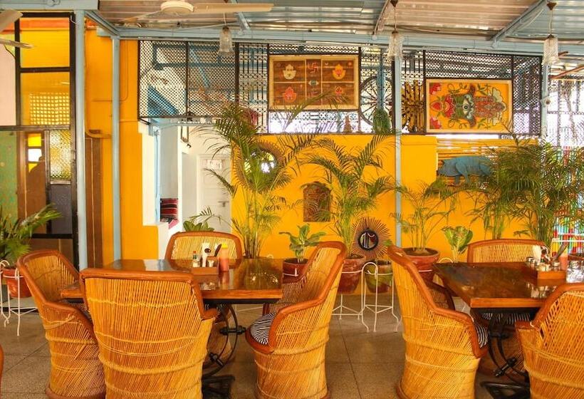 Moustache Jodhpur   Hostel