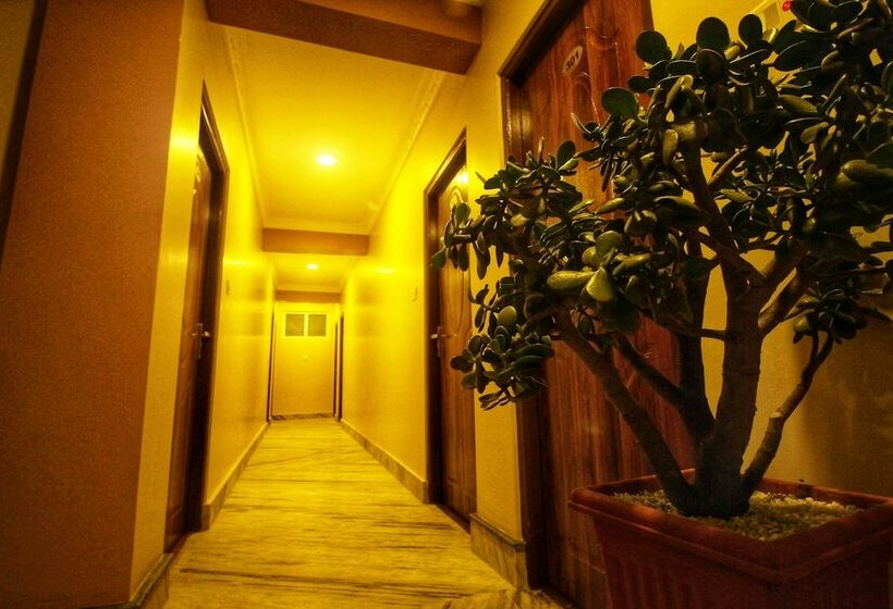 تختخواب و صبحانه Himalayan Sherpa Inn