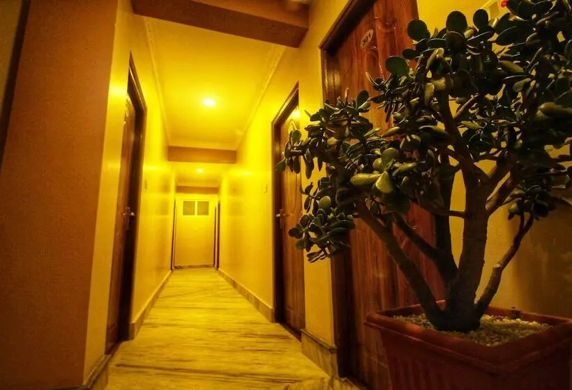 تختخواب و صبحانه Himalayan Sherpa Inn