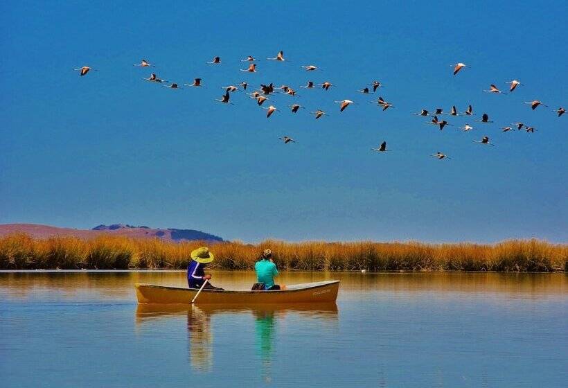 Hotel Titicaca Lodge Peru