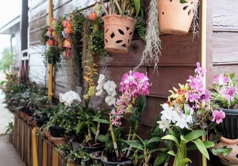 هتل Paradise Riverview Resort