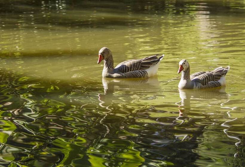 ホテル Pousada Céu De Luz