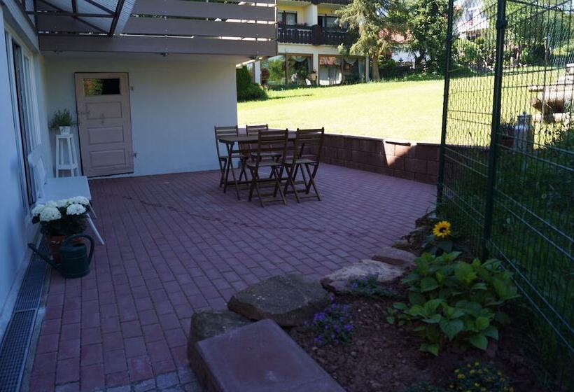 بنسيون Black Forest Lodge