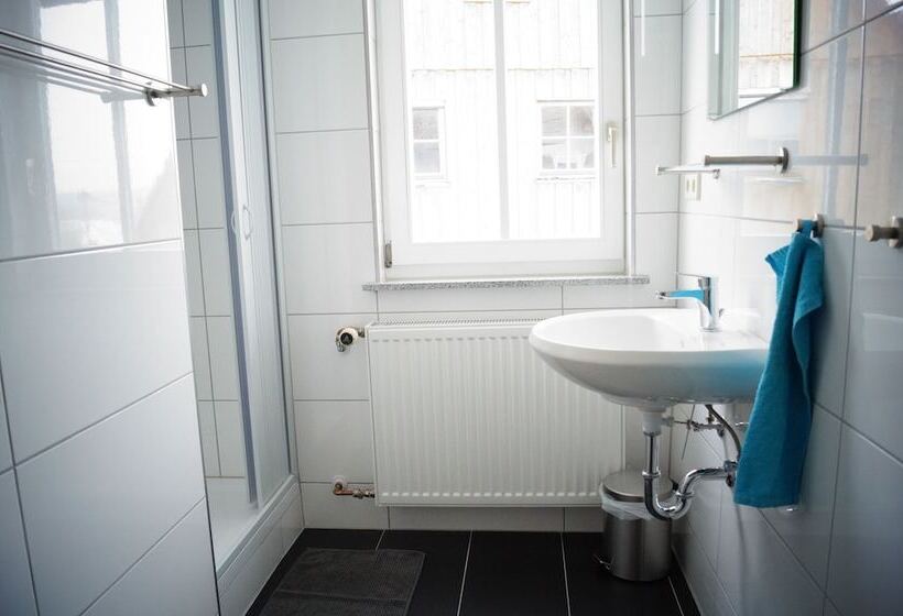 بنسيون Black Forest Lodge