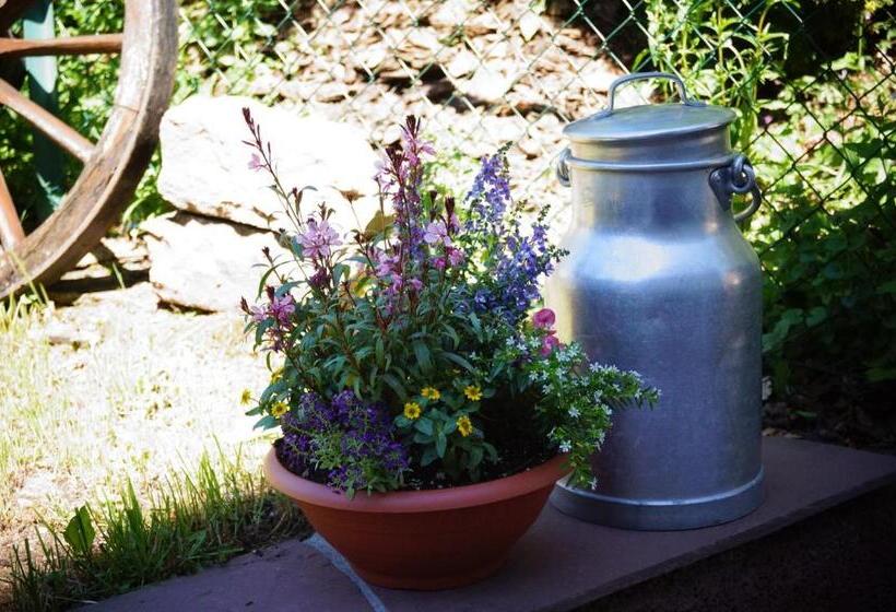 بنسيون Black Forest Lodge