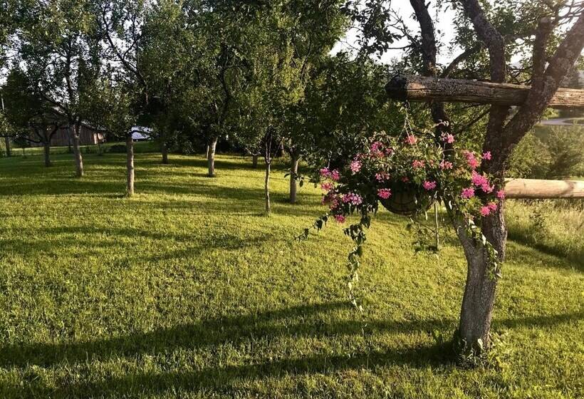 Пансион Guest House Klanfar